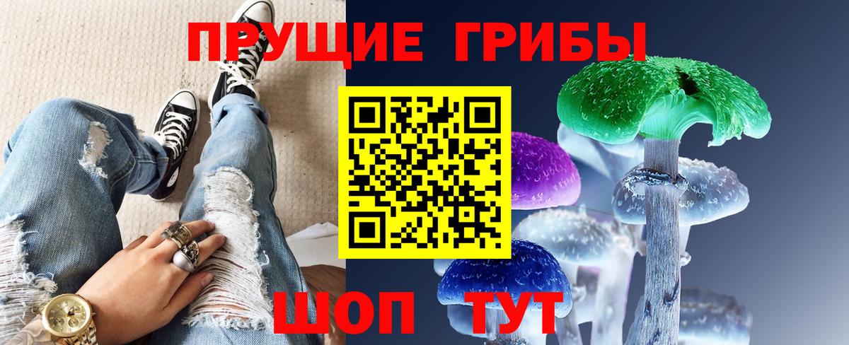 Псилоцибиновые грибы GOLDEN TEACHER  Галлюциногенные грибы Psilocybe  Вход с VPN  Донской 